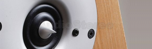 XAVIAN - Scanspeak Revelator ring radiator tweeter